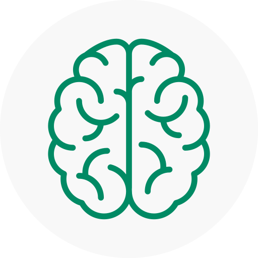 cerveau